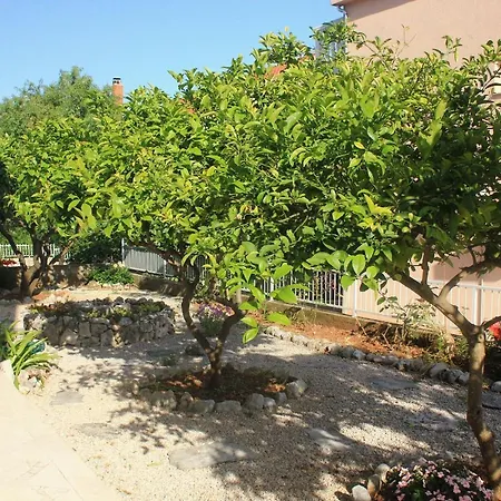 10082b オレビック