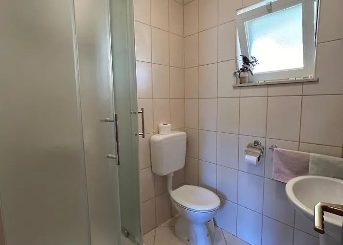 10082b * 奥瑞比克